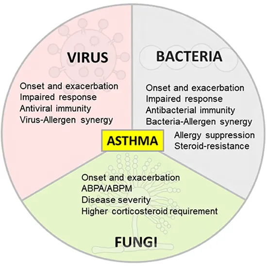 allergy asthma panel